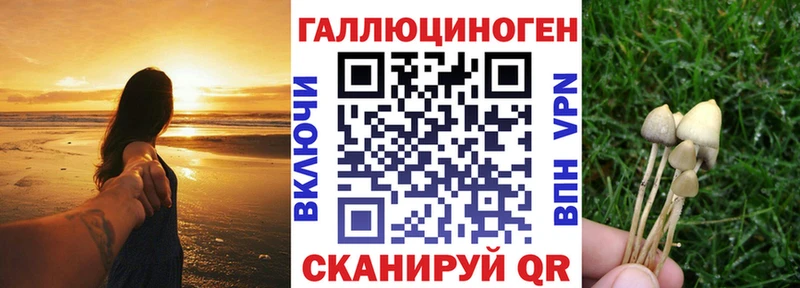 Псилоцибиновые грибы прущие грибы  Юрьев-Польский 